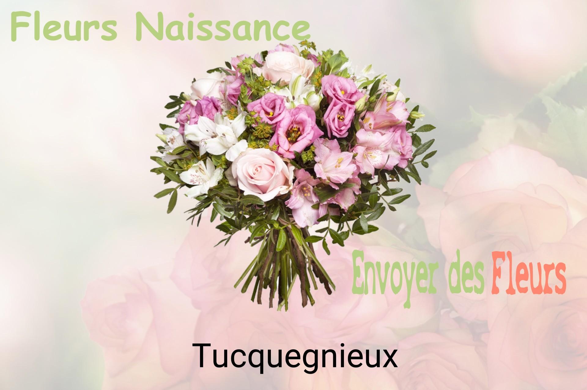 Bouquet de fleurs de naissance livré à Tucquegnieux
